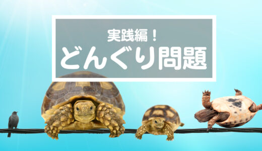 【どんぐりっ子の成長】自力で進化した経験が困難を乗り越える力になる！だから親はノーヒントで見守ろう（1mx38でんせんがめ）（小2→小3）